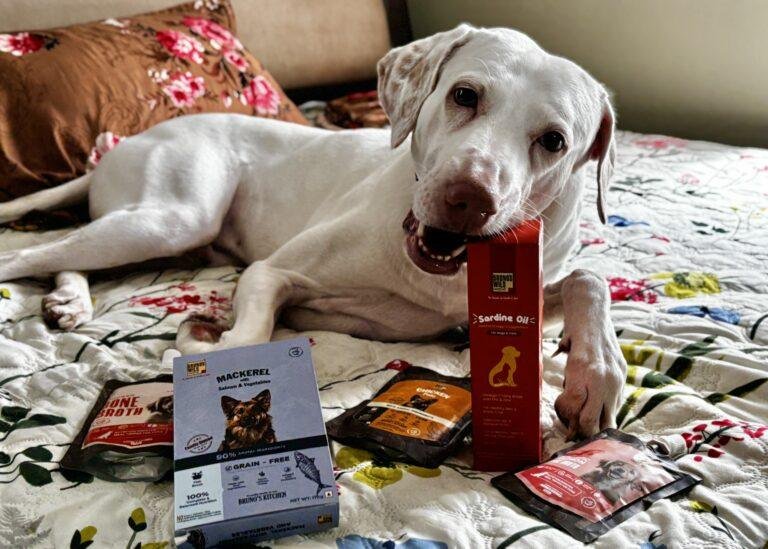 Top 5 Dog Food Brands in India 2025