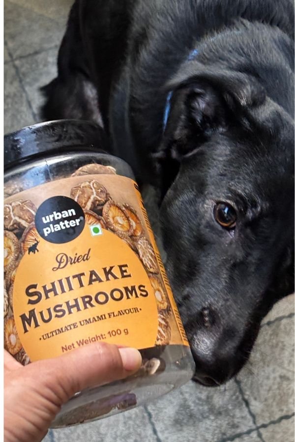 Shiitake Mushrooms for dogs