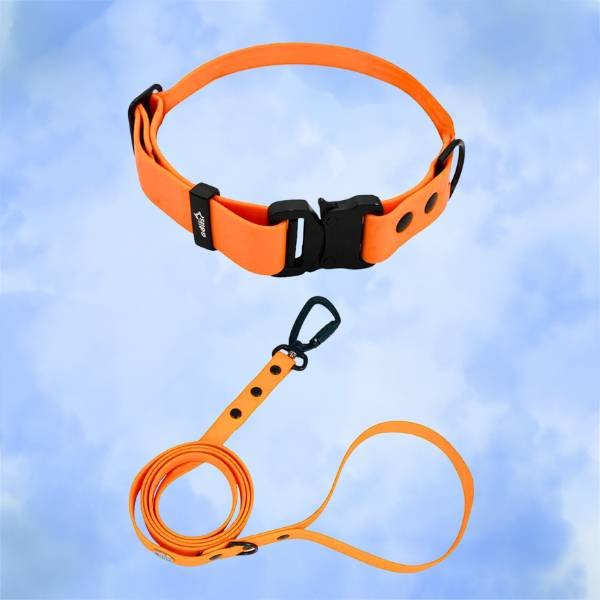 waterproof dog collar and leash. monsoon must-haves for dogs in India