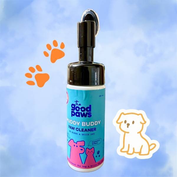 monsoon must-haves for dogs in India