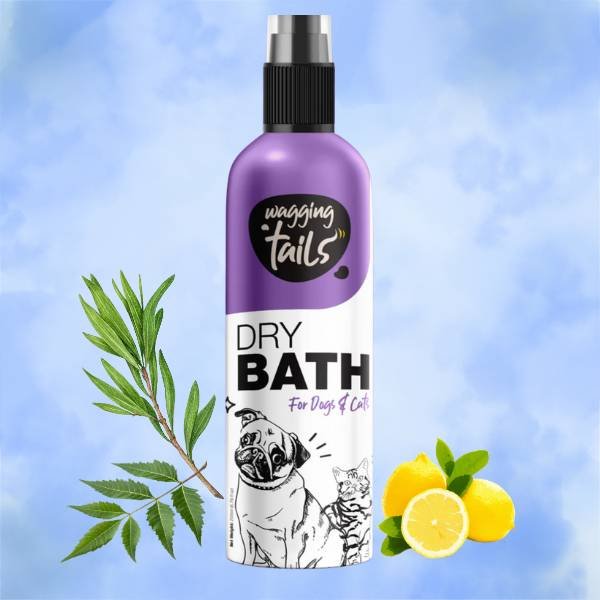 pet grooming in monsoon. Waterless shampoo for dogs