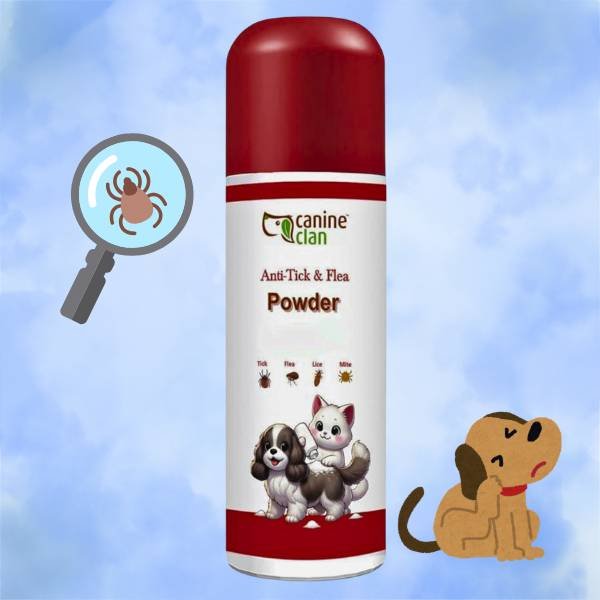 Monsoon musthaves for dogs. Tick and flea powder for dogs