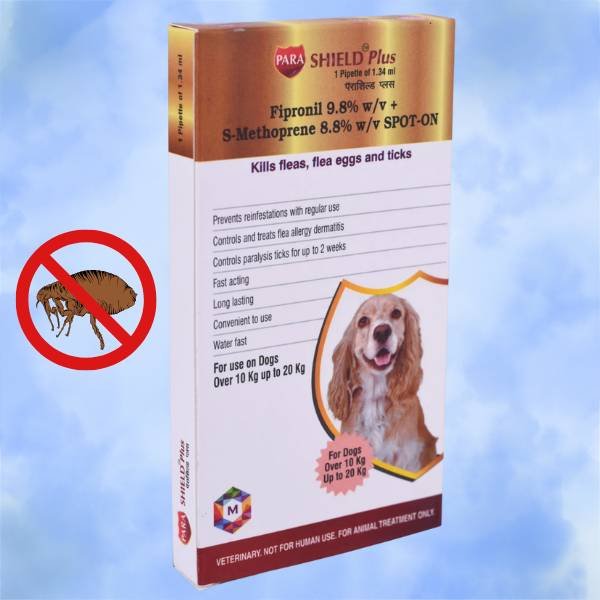 anti-tick spot on for dogs. monsoon must-haves for dogs