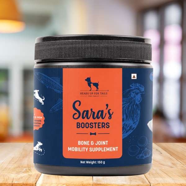 hip and joint supplement for dogs