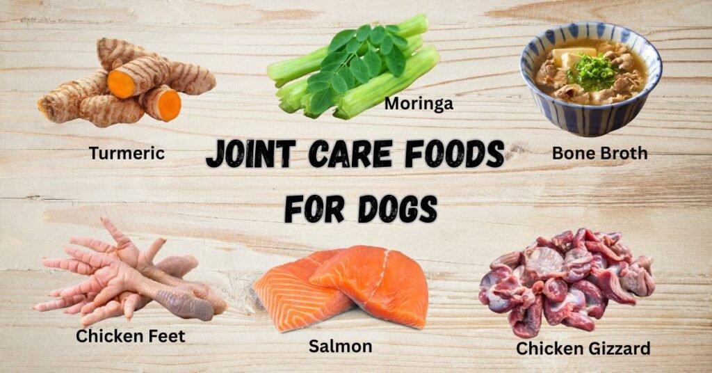 joint problems in dogs (3) Best Foods for dog joint health