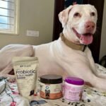 Probiotic Supplements for Dogs in India