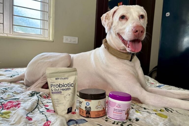 Probiotic Supplements for Dogs in India