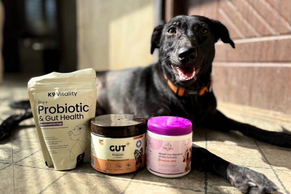 probiotic supplements for dogs in India probiotic supplements for dogs in India