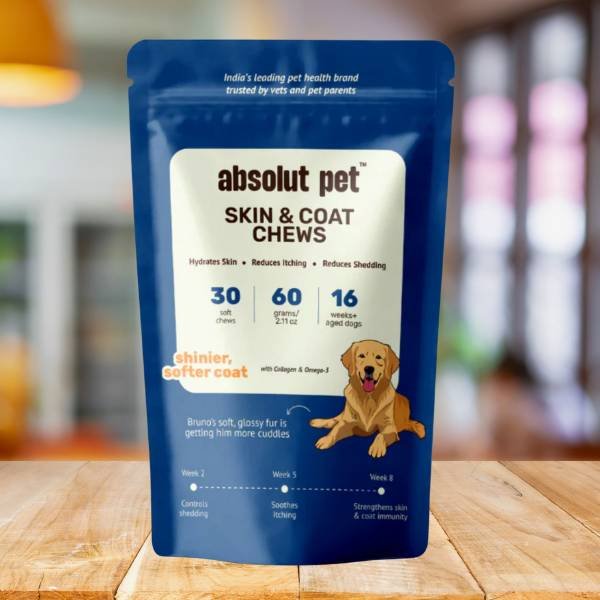 Skin and coat supplement for dogs