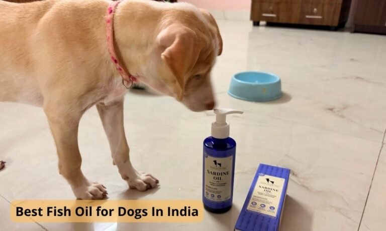 Fish Oil for Dogs
