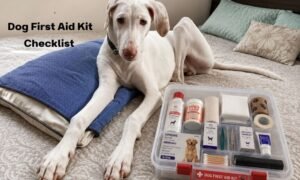 Dog first aid kit checklist for Indian pet parents
