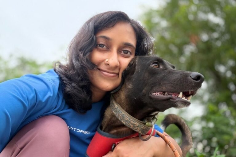 How To Introduce a new rescue dog to your existing pets